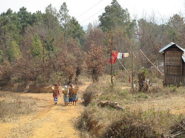 2011 02 16-David Cooke-5769 Meghalaya Walk 2nd Camp To Camp